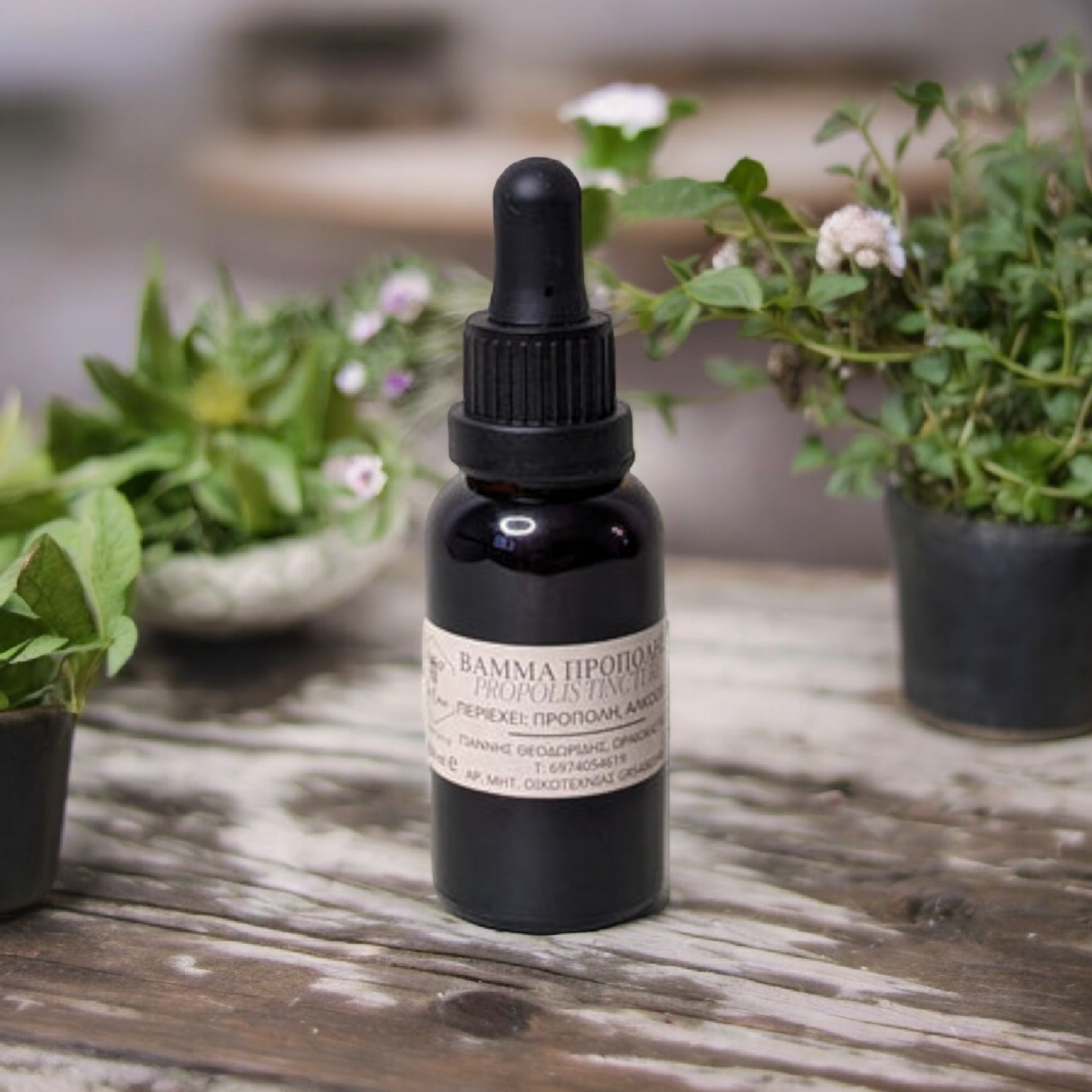 Propolis Tincture 10 ml.
